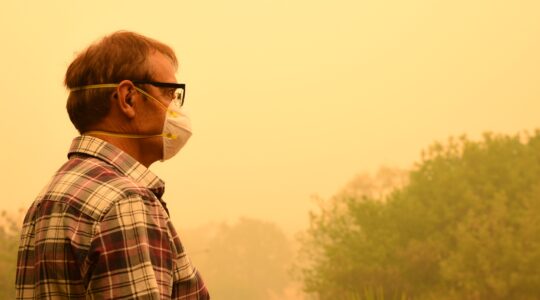 Man with mask and smoke from bushfire. | Newsreel