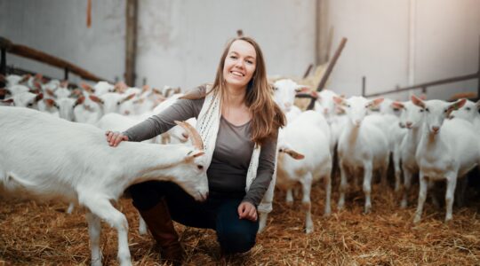 Goat farmer. | Newsreel