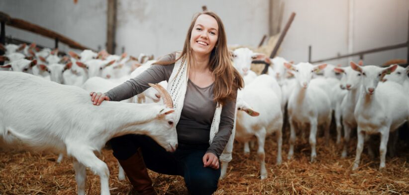 Goat farmer. | Newsreel