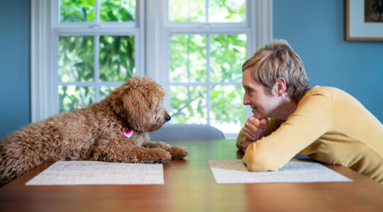 Woman and Her dog At the Table