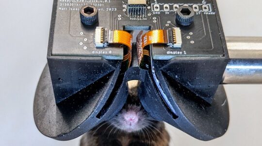 MouseGoggles developed at Cornell University. | Newsreel