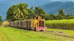 Sugar cane train Queensland, Australia. | Newsreel