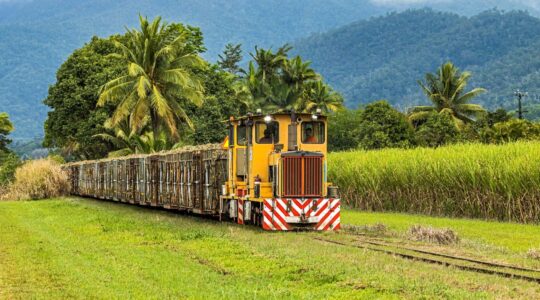 Sugar cane train Queensland, Australia. | Newsreel