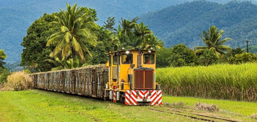 Sugar cane train Queensland, Australia. | Newsreel