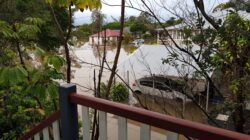 Flooded street Rocklea, Brisbane, Queensland. | Newsreel