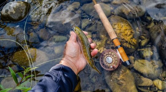 Angler holding freshwater fish. | Newsreeel