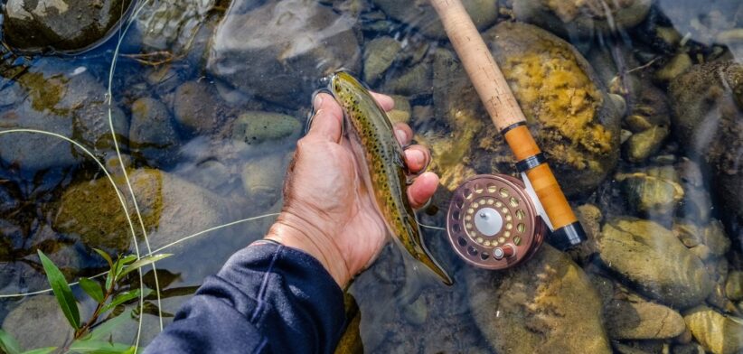 Angler holding freshwater fish. | Newsreeel