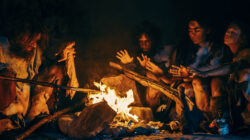 A new study says that early humans were primarily vegetarians.