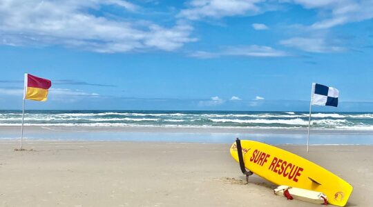 Flag on surf beach