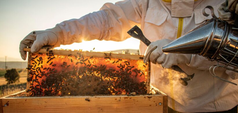 Beekeepers. | Newsreel