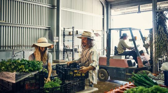 Farm workers. | Newsreel