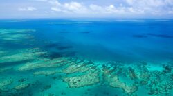 Great Barrier Reef, Queensland, Australia. | Newsreel