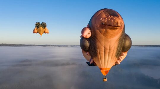 Skywhales loom on Sunshine Coast horizon