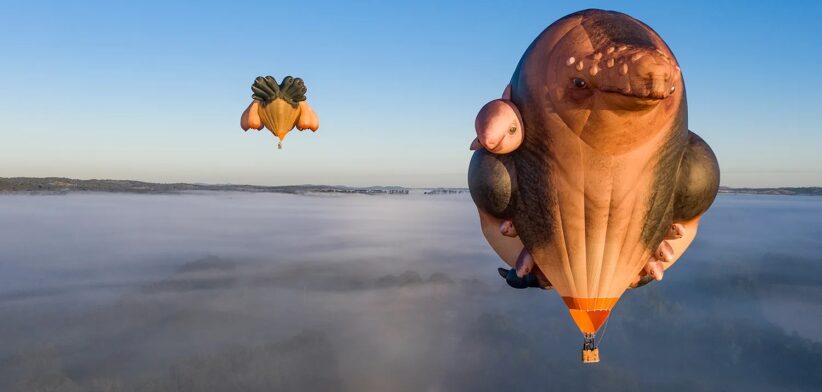 Patricia Piccinini's Skywhalepapa. | Newsreel