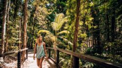 Woman walking in Queensland rainforest, Australia. | Newsreel