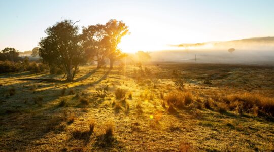 Rural Australia. | Newsreel