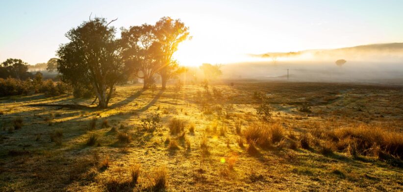 Rural Australia. | Newsreel