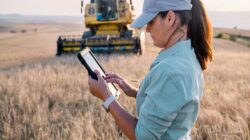 Farmer in field with tablet. | Newsreel