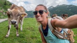 Selfie with a cow. | Newsreel