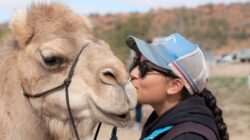 Person kissing a camel.