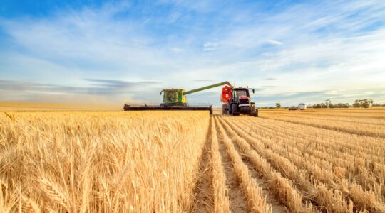 Wheat harvest Australia. | Newsreel