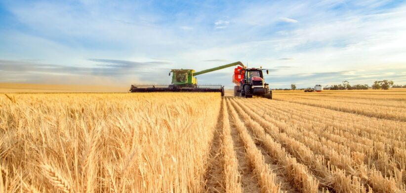 Wheat harvest Australia. | Newsreel