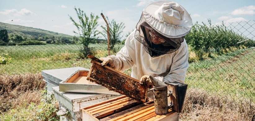 Beekeeper. | Newsreel