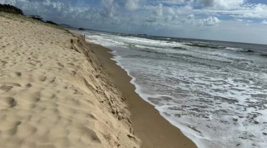 Sunshine Coast beach access one focus of Alfred recovery