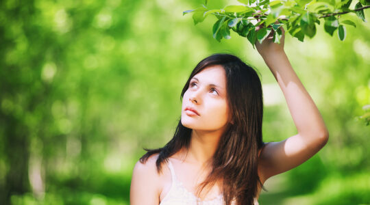 Great tree areas have been linked to longer life spans - Newsreel