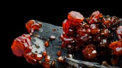 Vanadium. | Newsreel