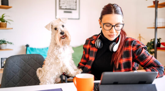 The work from home debate has been over-simplified - Newsreel