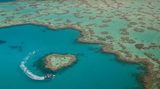 Great Barrier Reef Queensland. | Newsreel