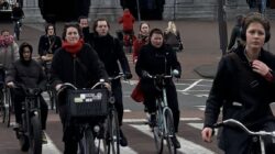 Bikes in the city of Amsterdam - Newsreel