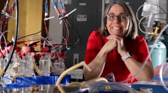 Electricity-breathing bacteria don’t need oxygen