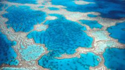 Great Barrier Reef, Queensland, Australia. | Newsreel