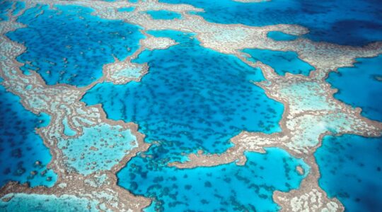 It’s the Great Barrier ‘Where?’ for some Aussies