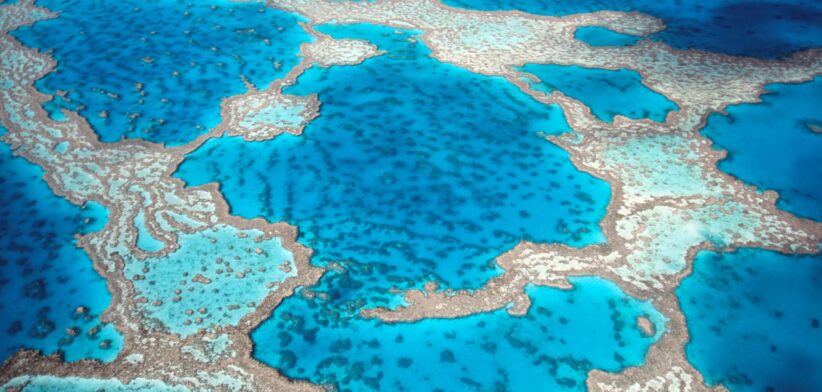 Great Barrier Reef, Queensland, Australia. | Newsreel