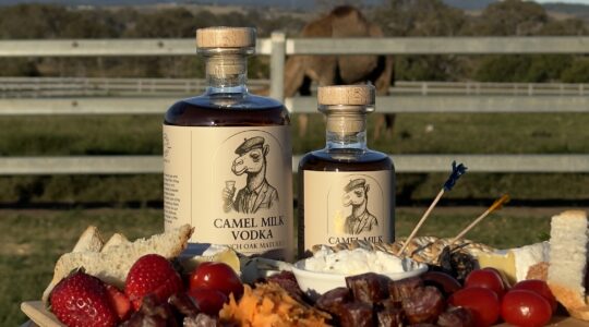 Camel Milk Vodka