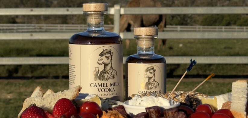 Camel Milk Vodka