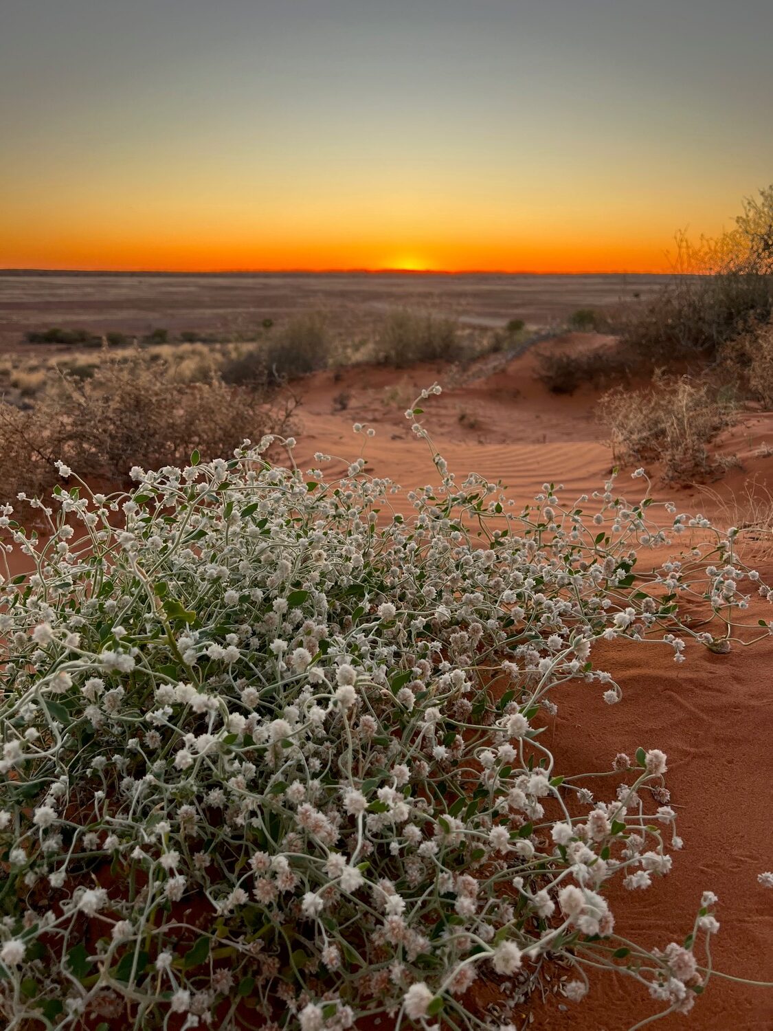 Outback Queensland. | Newsreel