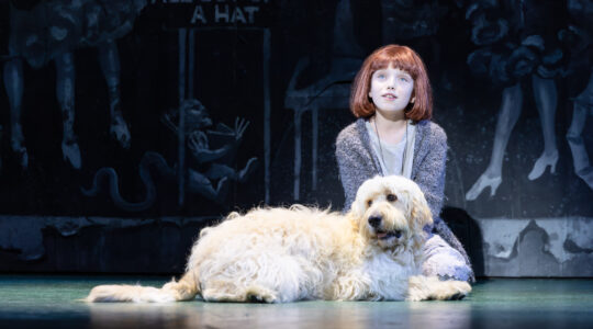 Yellow Wiggle to star in Annie at Lyric Theatre