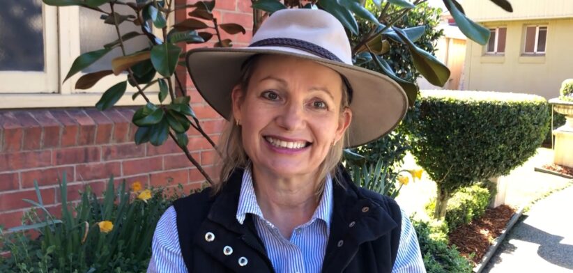Sussan Ley. | Newsreel