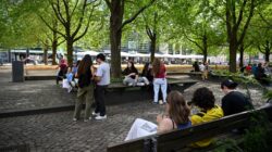 Urban shade. | Newsreel