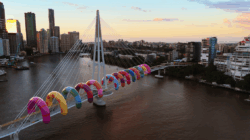 Brisbane Festival Art