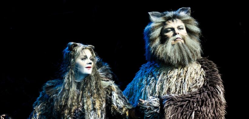 CATS 2025