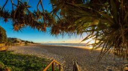 Coolum Beach. | Newsreel