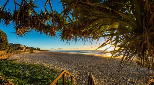 Celebrating what’s great in the Sunshine State