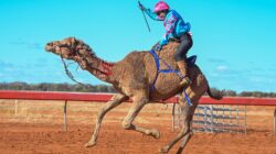 Emily Sansom in camel racing action 1