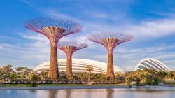 Gardens by the Bay, Singapore. | Newsreel