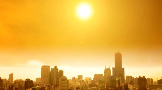 Green plastic film cuts building energy costs by 20 percent